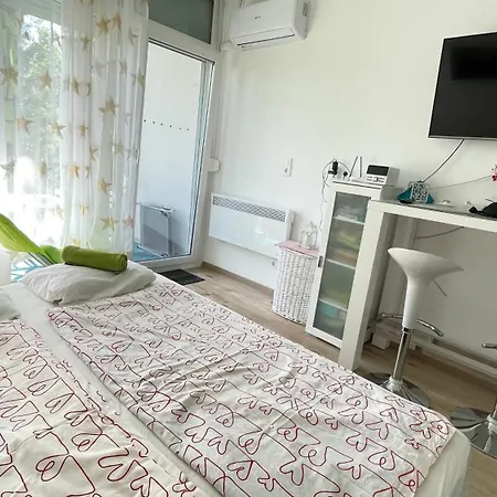 Aniko Vizparti Studio Apartman Balatonberény